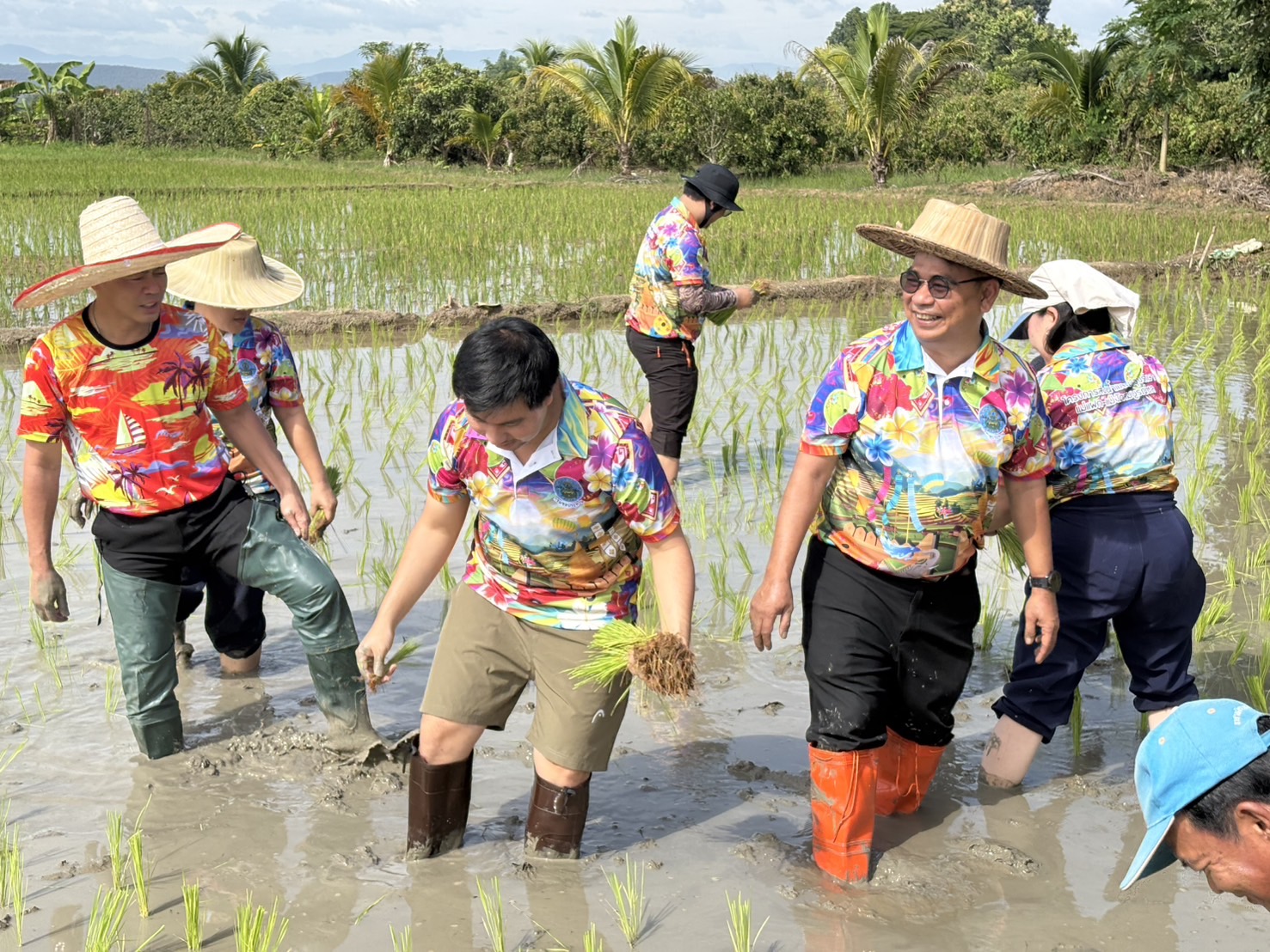ผอ.โครงการฯ นำเจ้าหน้าที่ชลประทาน ทำกิจกรรม ชลเกษตรกร ปลูกข้าว เรียนรู้วิถีชาวนาไทย
