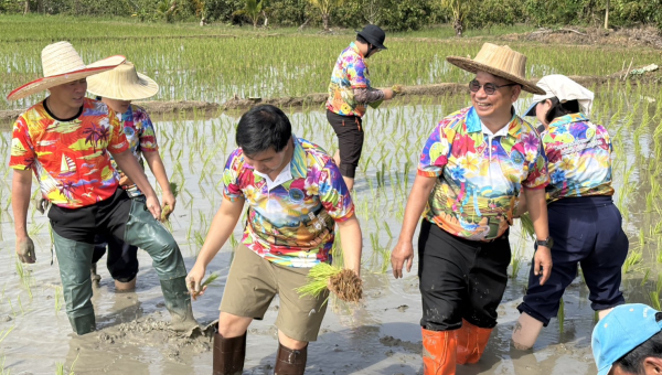 ผอ.โครงการฯ นำเจ้าหน้าที่ชลประทาน ทำกิจกรรม ชลเกษตรกร ปลูกข้าว เรียนรู้วิถีชาวนาไทย
