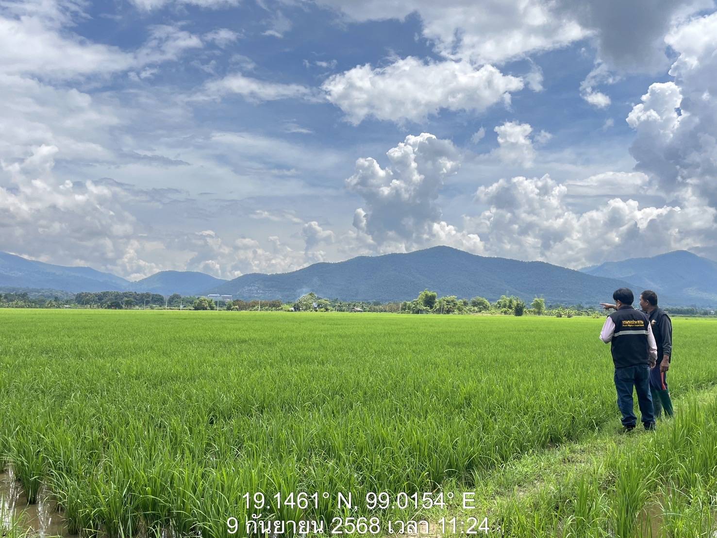 โครงการส่งน้ำและบำรุงรักษาแม่แฝก-แม่งัดสมบูรณ์ชล ติดตามผลการส่งน้ำข้าวนาปีและพื้นที่เพาะปลูกพืช ตามแผนการจัดสรรน้ำและมาตรการรับมือฤดูฝน ปี 2568