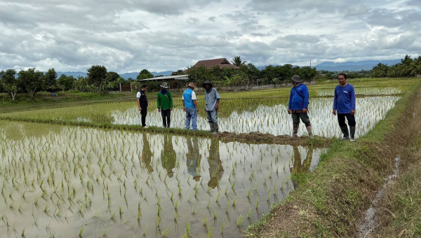 โครงการส่งน้ำและบำรุงรักษาแม่แฝก-แม่งัดสมบูรณ์ชล ลงพื้นที่ติดตามการส่งน้ำให้เกษตรกรตามแผนเพาะปลูกพืชฤดูฝน 2568 และเตรียมพร้อมรับมือพายุ วิภา 22 - 24 ก.ค. นี้
