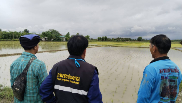 โครงการส่งน้ำและบำรุงรักษาแม่แฝก-แม่งัดสมบูรณ์ชล ลงพื้นที่ติดตามสถานการน้ำและสำรวจพื้นที่เพาะปลูกของเกษตรกร หลังเกิดพายุวิภา