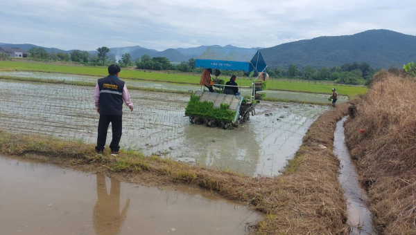 โครงการส่งน้ำและบำรุงรักษาแม่แฝก-แม่งัดสมบูรณ์ชล ลงพื้นที่ติดตามสถานการน้ำและผลเพาะปลูกข้าวนาปีแม่แฝก-แม่งัด พบปลูกเกือบเต็มพื้นที่